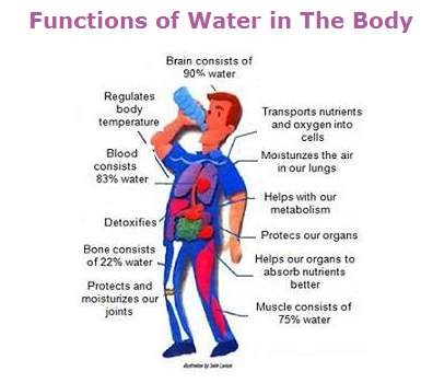 Hydration - hydration